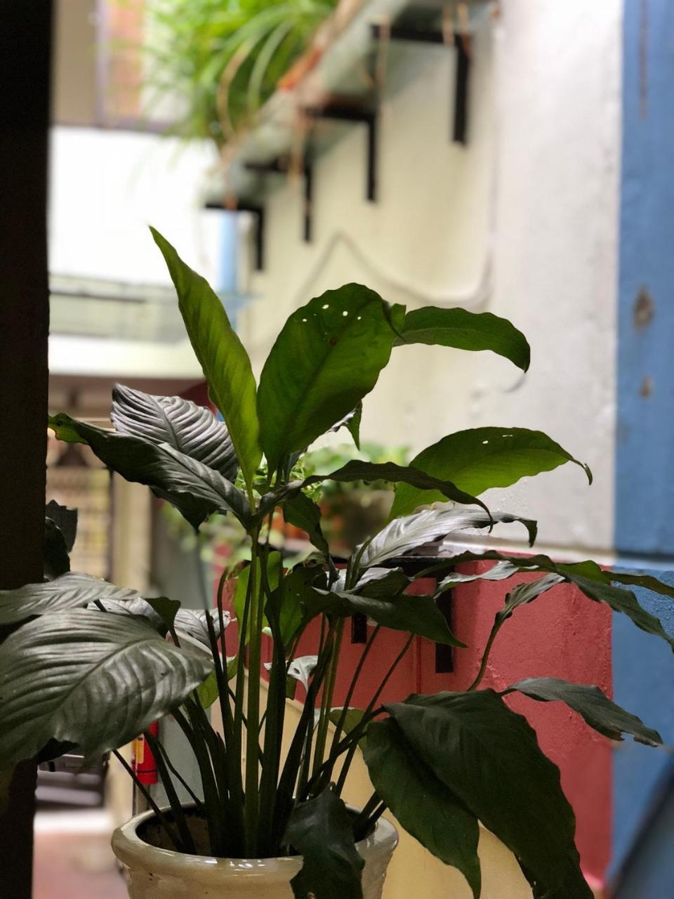 Ventana House Lejlighed Hai Phong Eksteriør billede