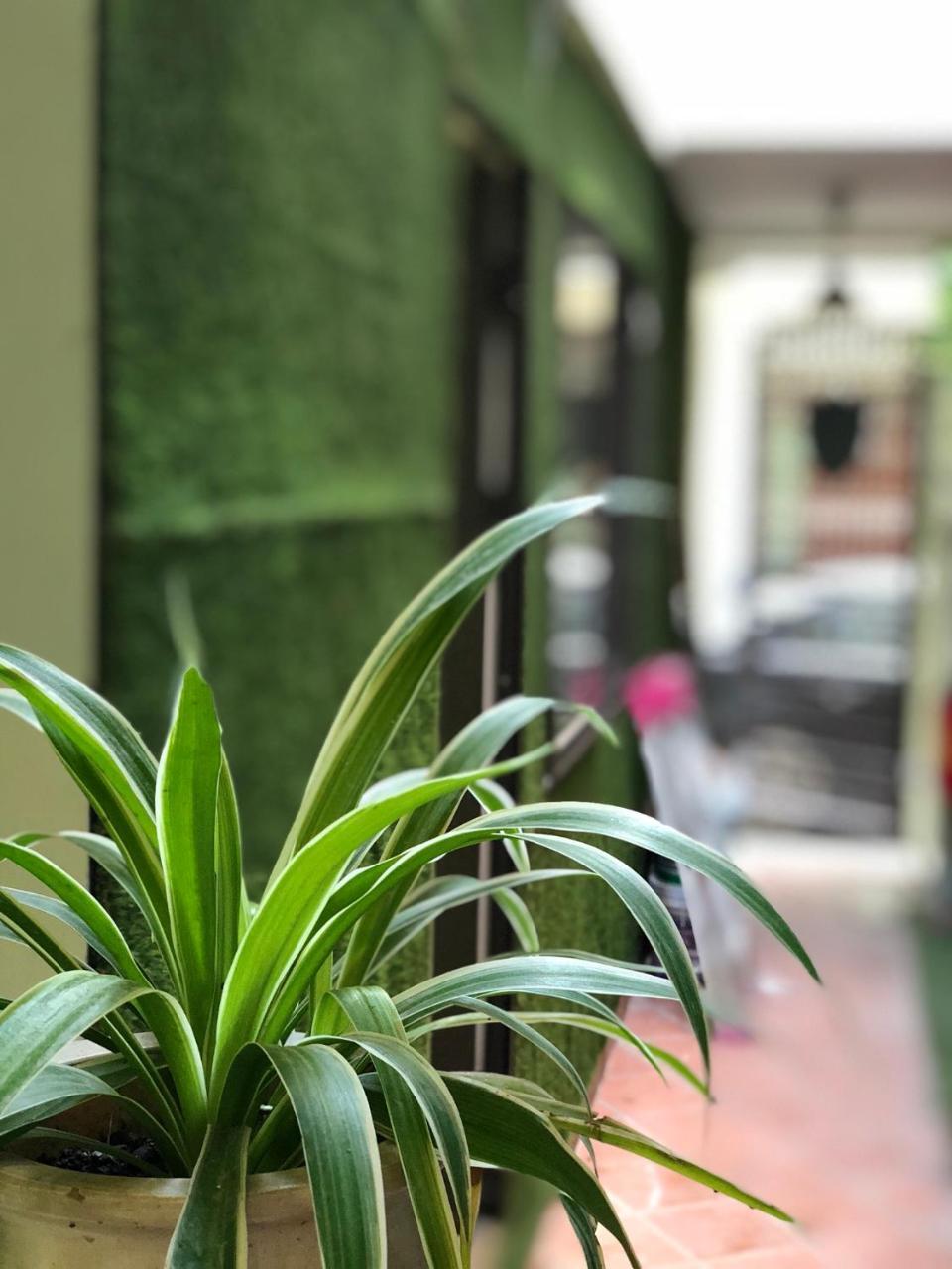 Ventana House Lejlighed Hai Phong Eksteriør billede